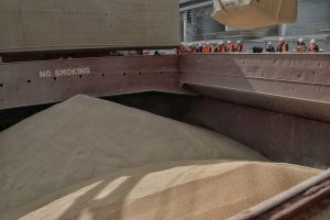 A container filled with wheat is seen aboard a cargo ship in a sea port in Ukraine's Odesa region on March 24. Reuters