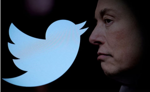 Twitter logo and a photo of Elon Musk are displayed through magnifier in this illustration taken October 27, 2022.