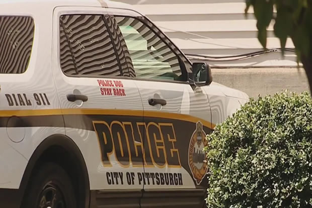 Police use pepper spray to break up large fight outside Pittsburgh high school